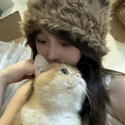 青云志